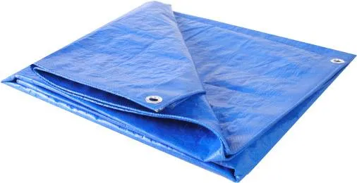 Inland Plastic Tarpaulin - 6' x 8'